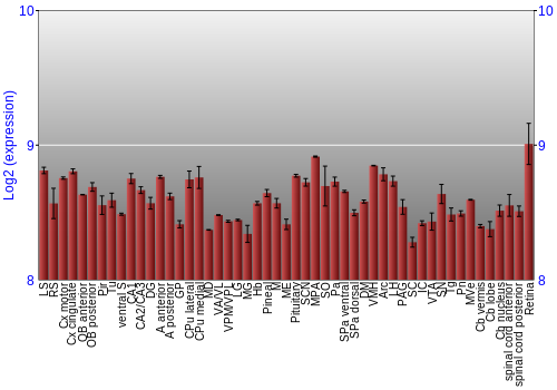 Expression graph