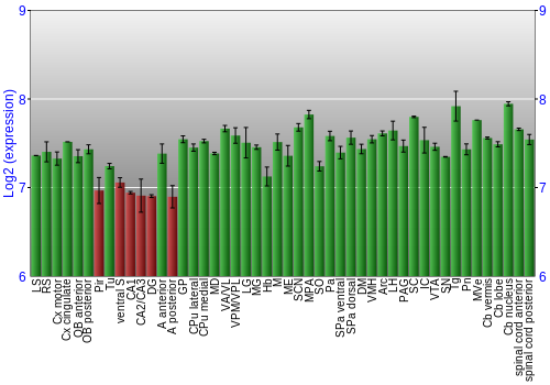 Multi-state expression graph