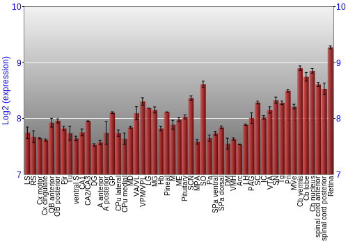 Expression graph