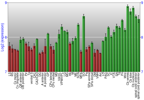 Multi-state expression graph