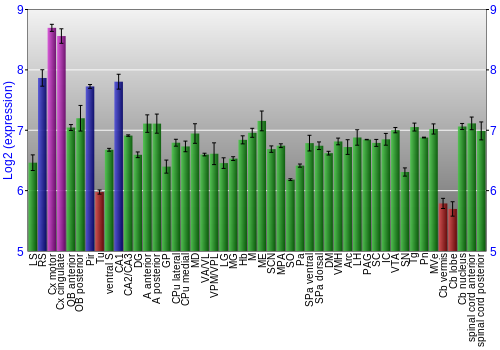 Multi-state expression graph