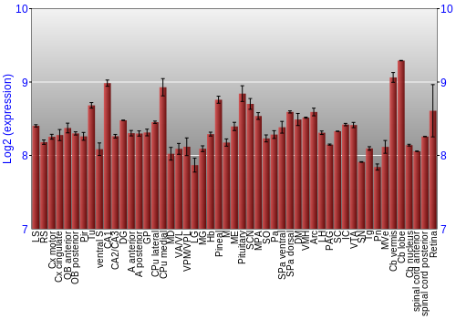 Expression graph