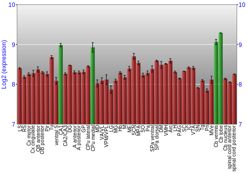 Multi-state expression graph