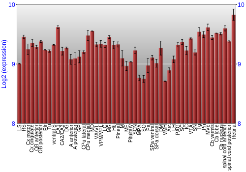 Expression graph