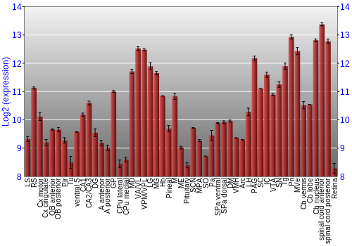 Expression graph