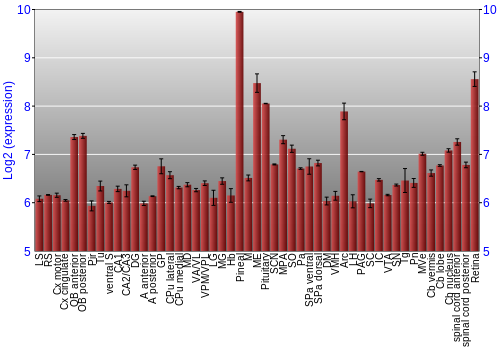 Expression graph