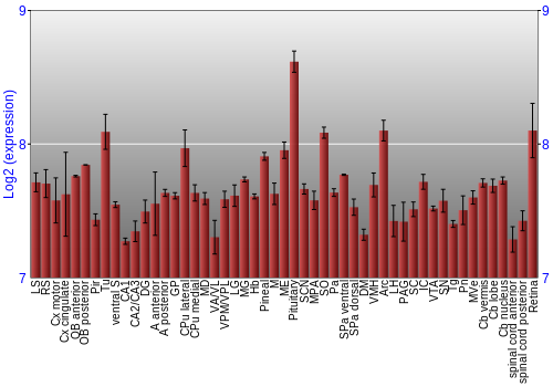 Expression graph