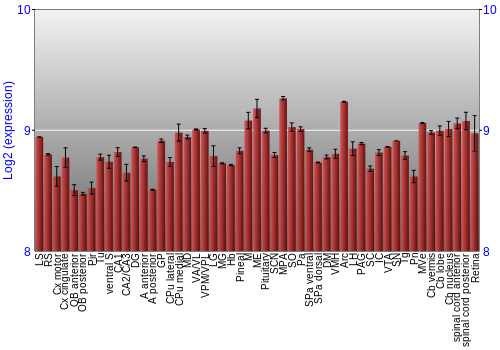 Expression graph