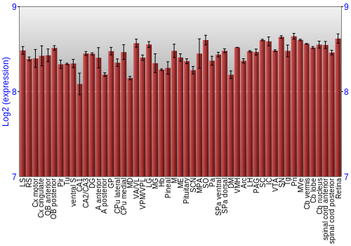 Expression graph