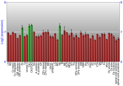Multi-state expression graph