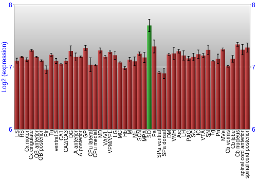 Multi-state expression graph