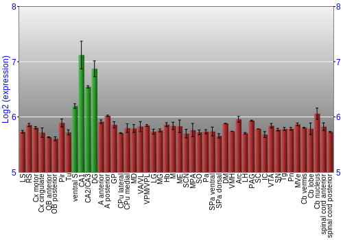 Multi-state expression graph