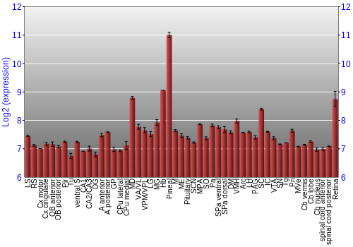 Expression graph
