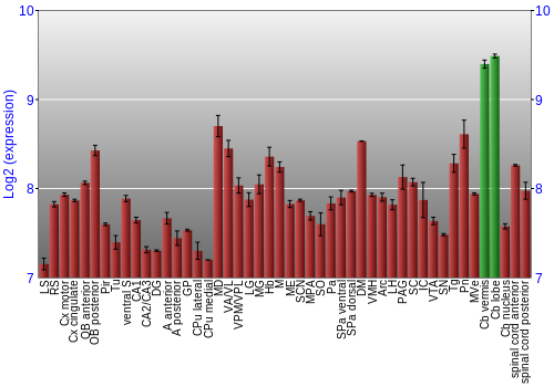 Multi-state expression graph