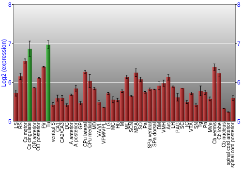 Multi-state expression graph