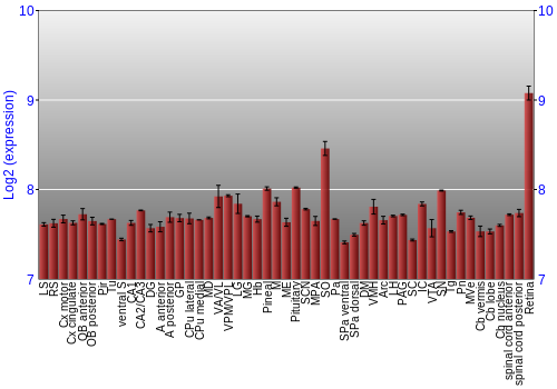 Expression graph