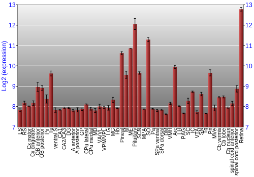 Expression graph