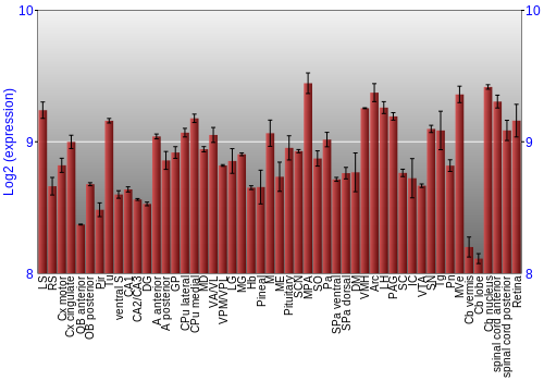Expression graph