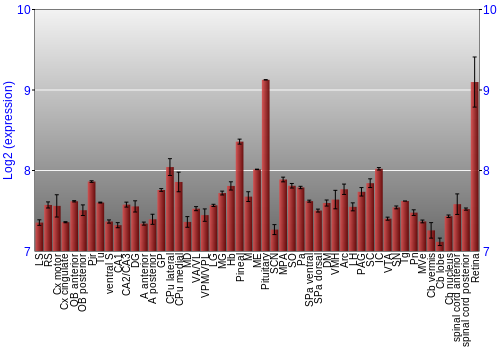 Expression graph