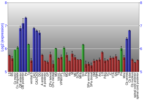 Multi-state expression graph