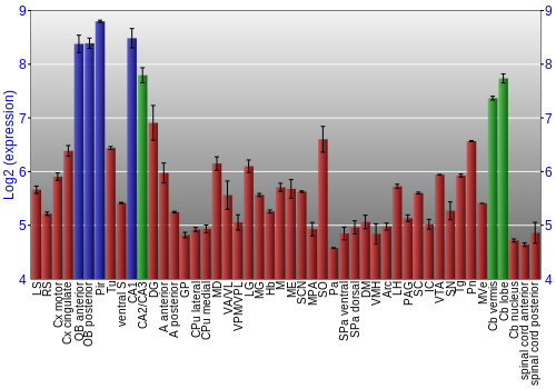 Multi-state expression graph