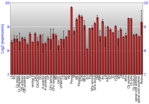 Expression graph