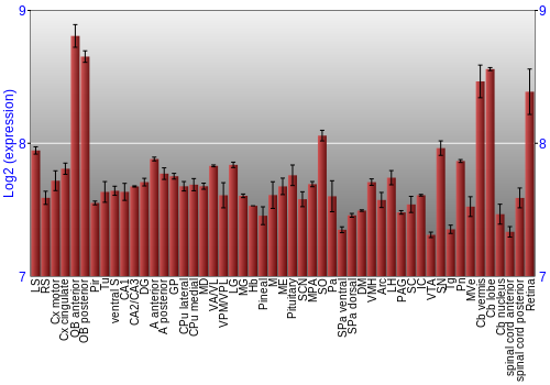 Expression graph