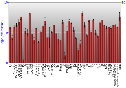 Expression graph