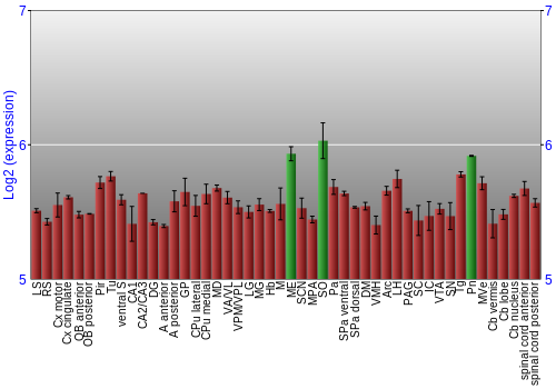 Multi-state expression graph
