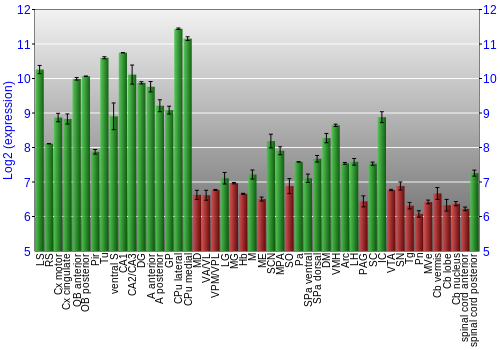 Multi-state expression graph