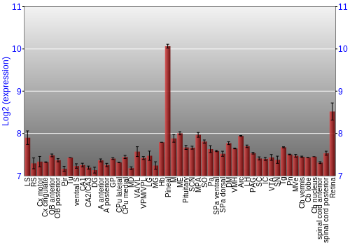 Expression graph