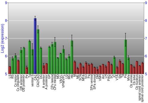 Multi-state expression graph