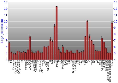 Expression graph