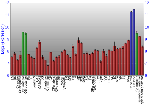 Multi-state expression graph