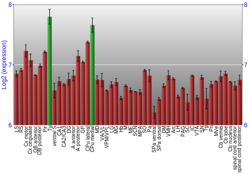 Multi-state expression graph