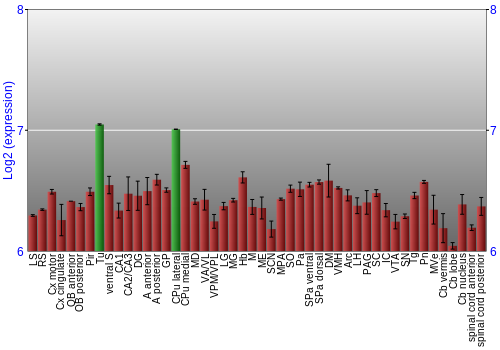 Multi-state expression graph