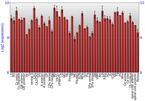 Expression graph