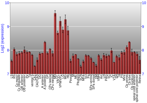 Expression graph