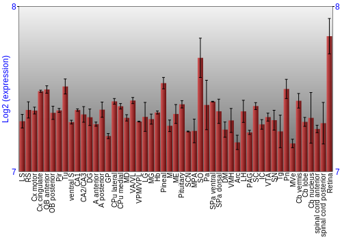 Expression graph