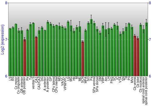 Multi-state expression graph