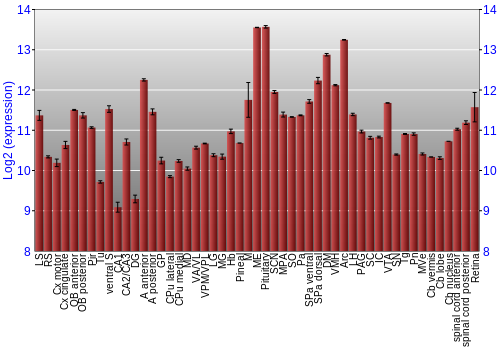 Expression graph