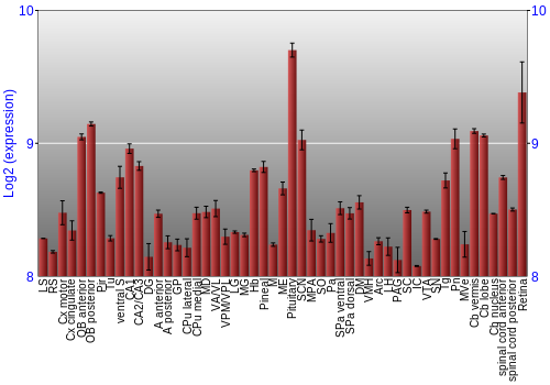Expression graph