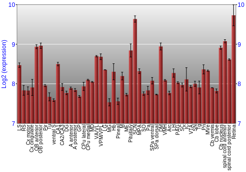 Expression graph