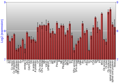 Expression graph