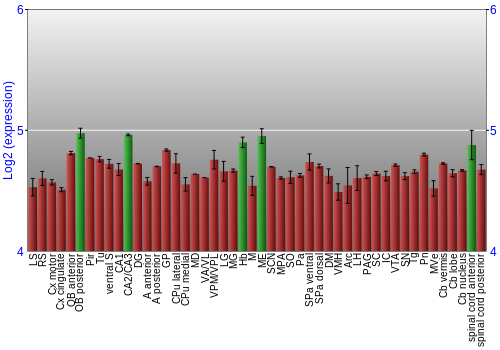 Multi-state expression graph