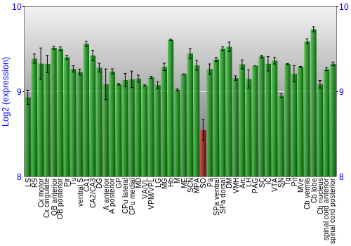 Multi-state expression graph