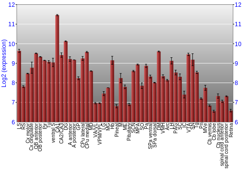 Expression graph