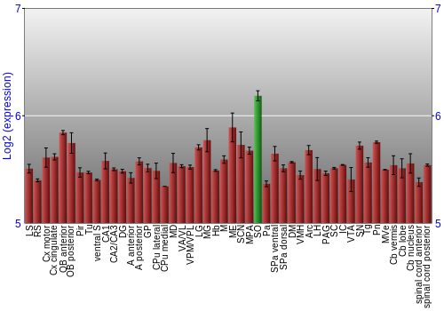 Multi-state expression graph