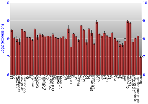 Expression graph