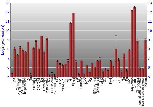 Expression graph